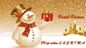 Veselé Vánoce salon 640px